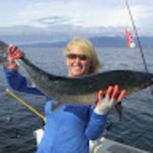 Meet your Posher, Steve